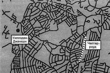 Загадочное ночное убийство собаки