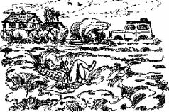 Пикник и прочие безобразия