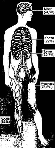 Шокирующая правда о воде и соли