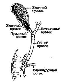 Шокирующая правда о воде и соли