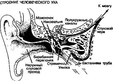 Шокирующая правда о воде и соли