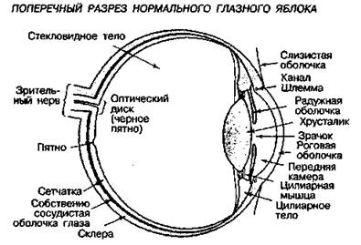 Шокирующая правда о воде и соли