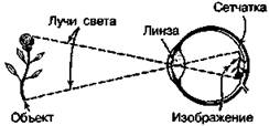 Шокирующая правда о воде и соли