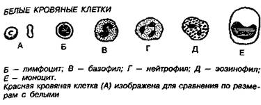 Шокирующая правда о воде и соли