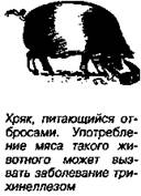 Шокирующая правда о воде и соли
