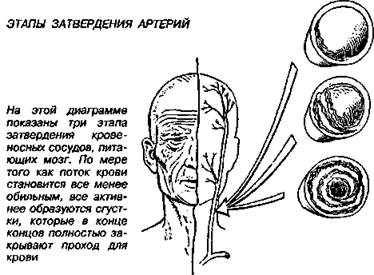 Шокирующая правда о воде и соли