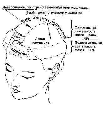 Учитесь быстро читать