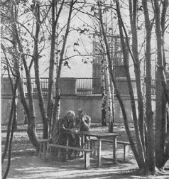 Страницы жизни Ландау