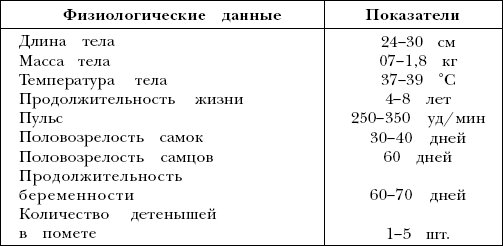 Морские свинки