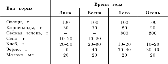 Морские свинки