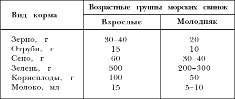 Морские свинки