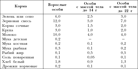 Мыши