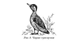 Охота по перу