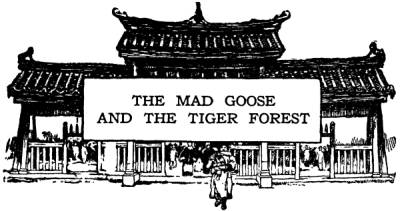 A Chinese Wonder Book