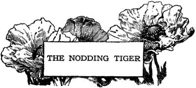 A Chinese Wonder Book