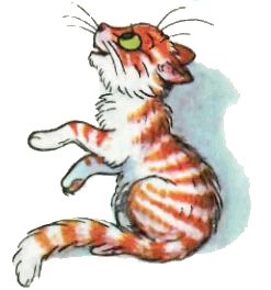 Капризная кошка