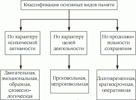 Superпамять. Интенсив-тренинг для развития памяти