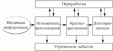 Superпамять. Интенсив-тренинг для развития памяти