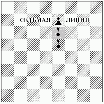 Шахматы для самых маленьких
