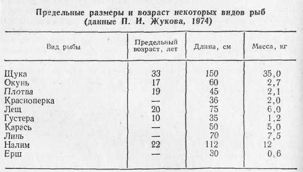 Ловля рыбы в водохранилищах