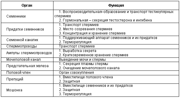 Физиология размножения и репродуктивная патология собак