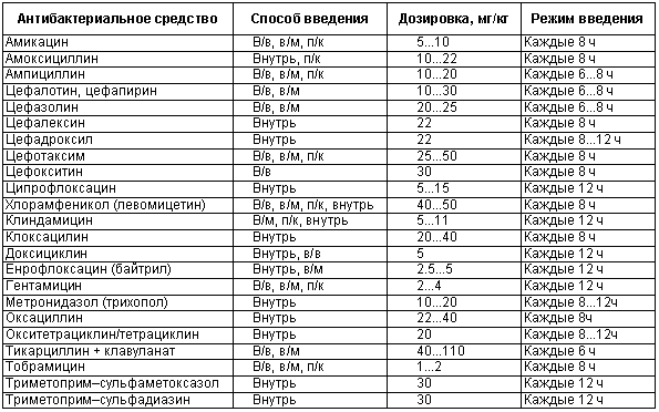 Физиология размножения и репродуктивная патология собак
