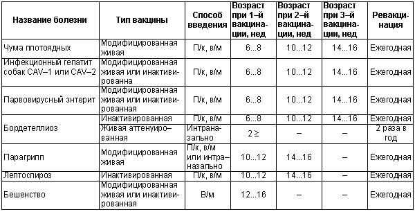 Физиология размножения и репродуктивная патология собак