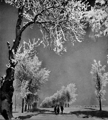 Фотокомпозиция