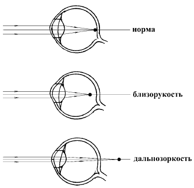 Супер-зрение. Лучшие рецепты народной медицины от А до Я