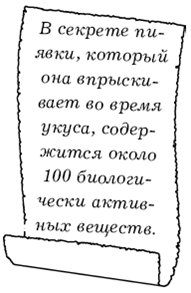 Диабет. Лучшие рецепты народной медицины от А до Я