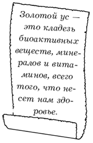 Диабет. Лучшие рецепты народной медицины от А до Я