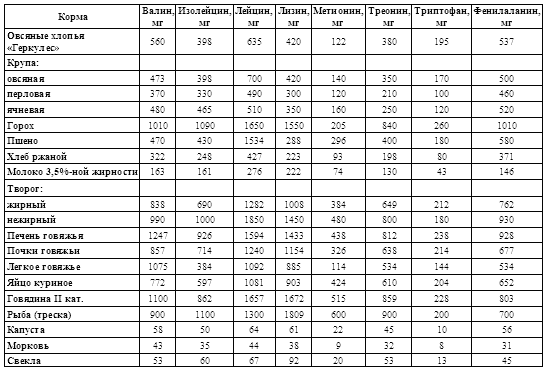 Ваша собака-телохранитель