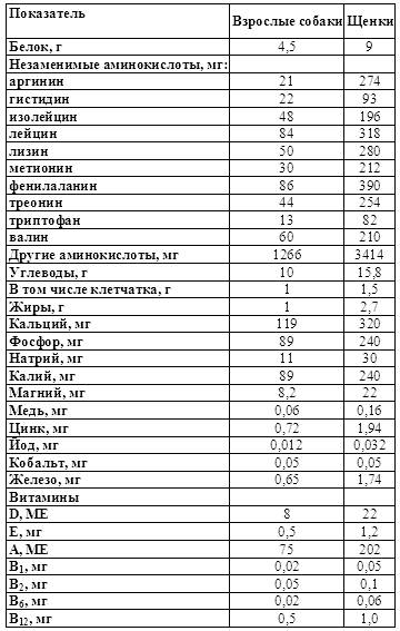 Ваша собака-телохранитель
