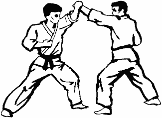 Карате для начинающих