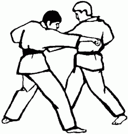 Карате для начинающих