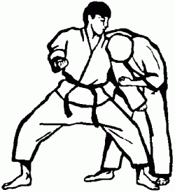 Карате для начинающих