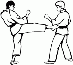 Карате для начинающих