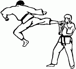 Карате для начинающих