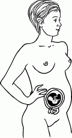 Мы ждем ребенка. Книга для будущих родителей