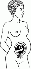Мы ждем ребенка. Книга для будущих родителей