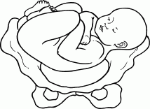 Мы ждем ребенка. Книга для будущих родителей
