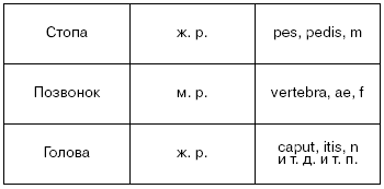 Латинский язык для медиков