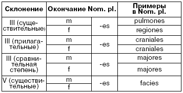 Латинский язык для медиков