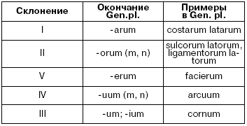 Латинский язык для медиков