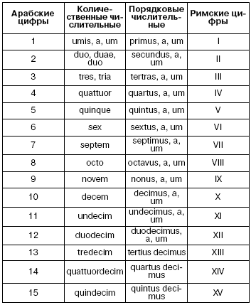 Латинский язык для медиков